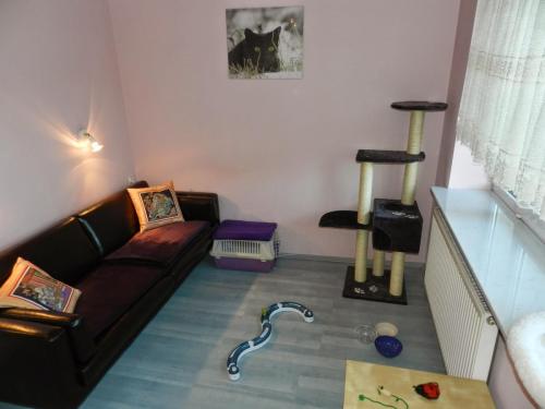 Hotel dla kotów bella Warszawa pokój Charlie